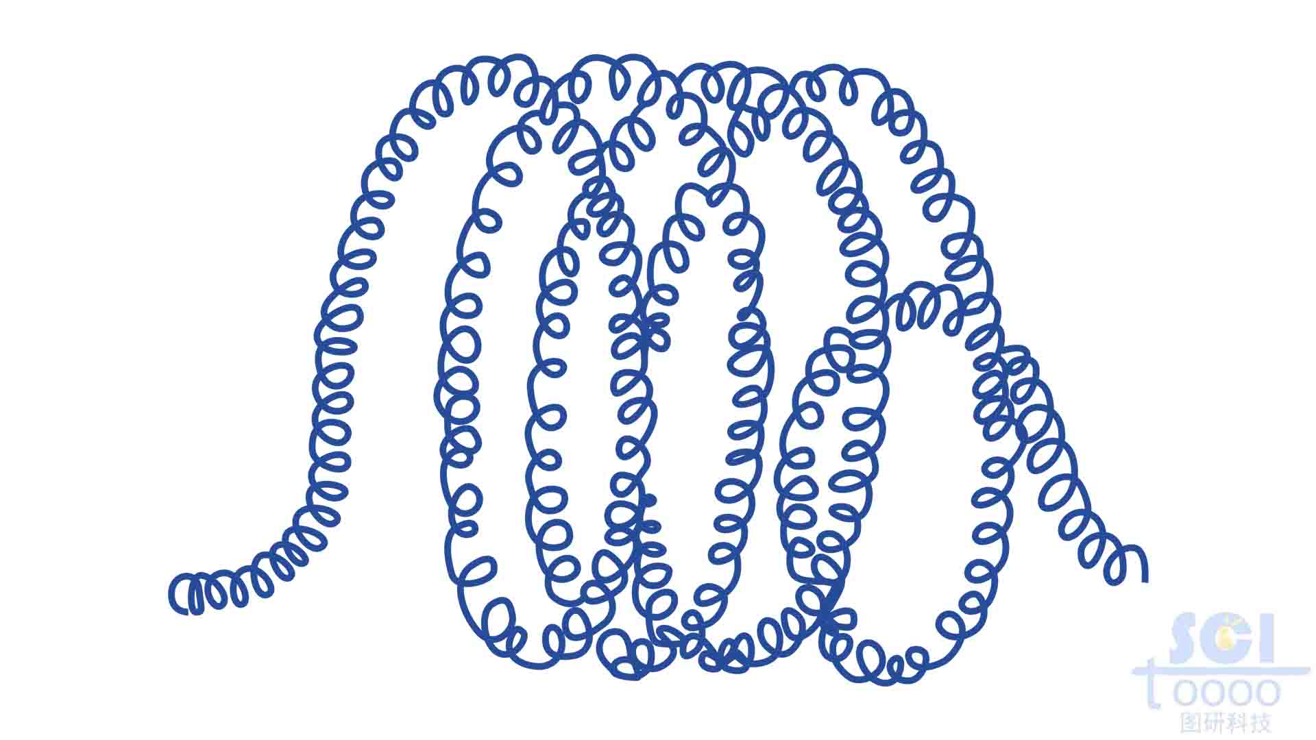 伸展染色質(zhì)