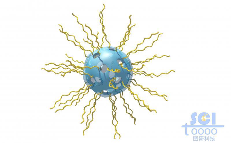 介孔硅表面負載雙鏈DNA