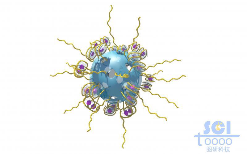 介孔硅表面裝飾負載藥物顆粒的四季子