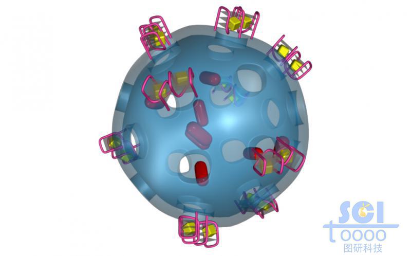 介孔硅載藥模型