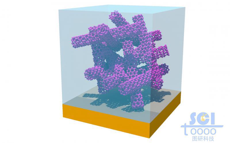 金基底板上的碳納米管堆積生長形成錯落的碳納米管骨架結構