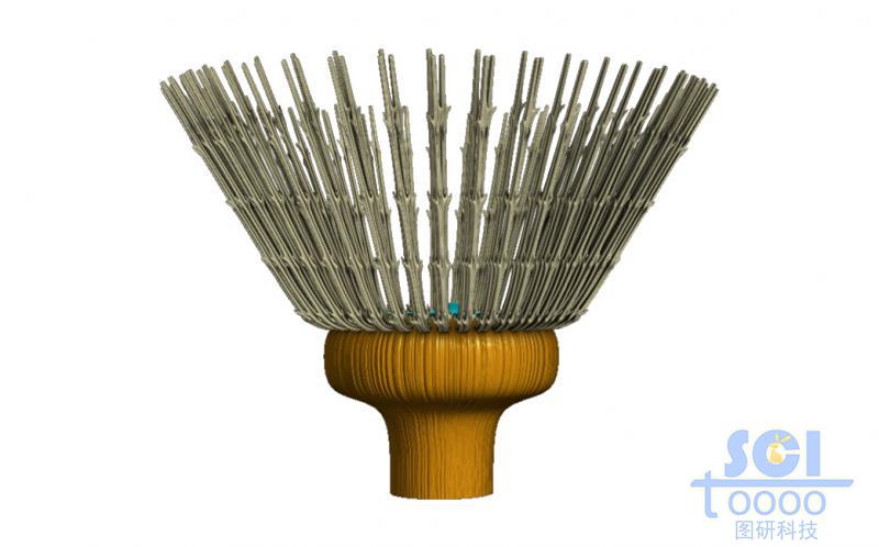 蒲公英結(jié)構(gòu)的微觀示意圖