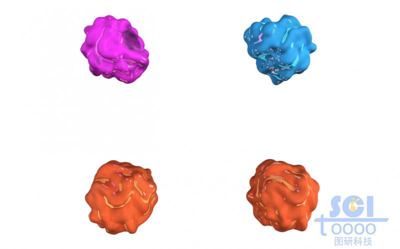 蛋白質(zhì)結(jié)構(gòu)