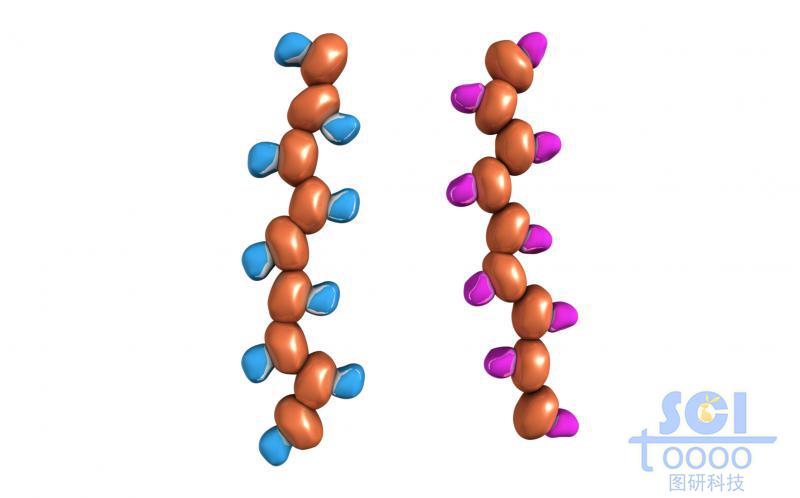 蛋白質(zhì)結(jié)構(gòu)