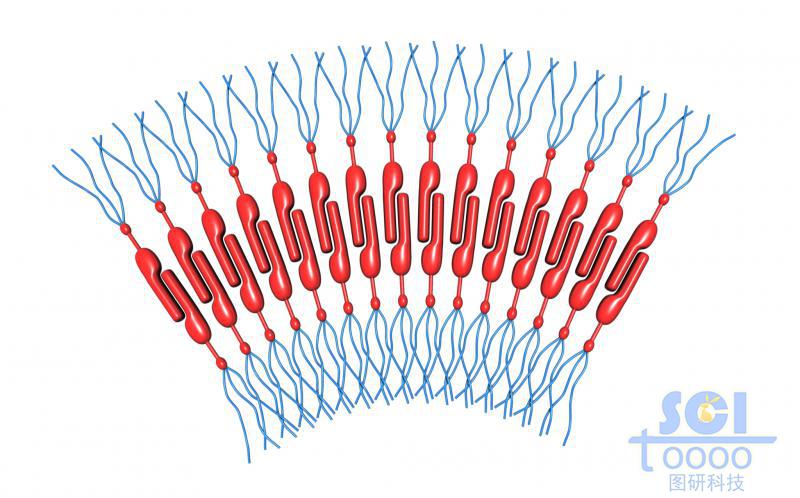 兩兩相扣相互交聯(lián)的分子模式圖