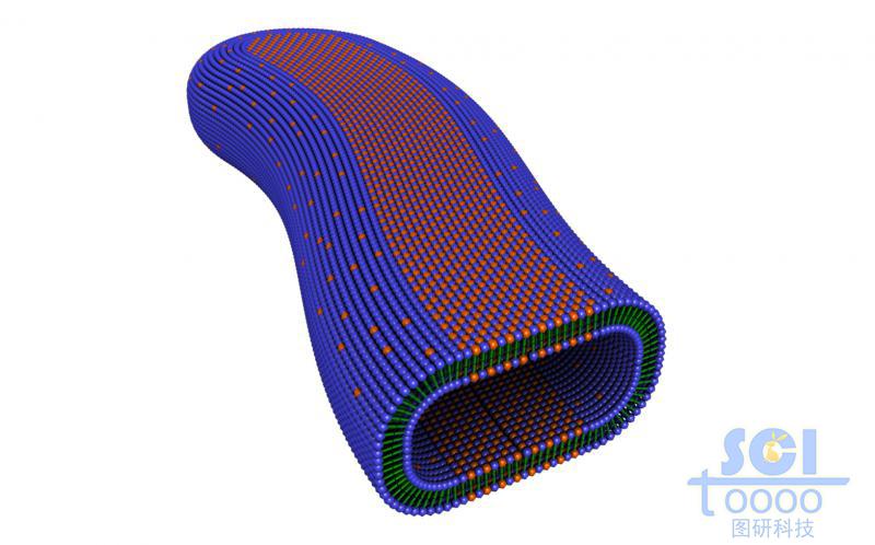 兩種單體構成的長條狀膠束