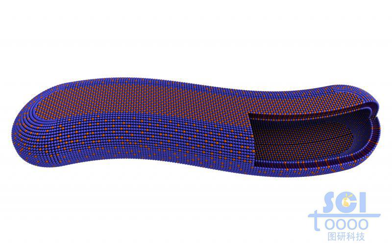 兩種單體構成的長條狀膠束