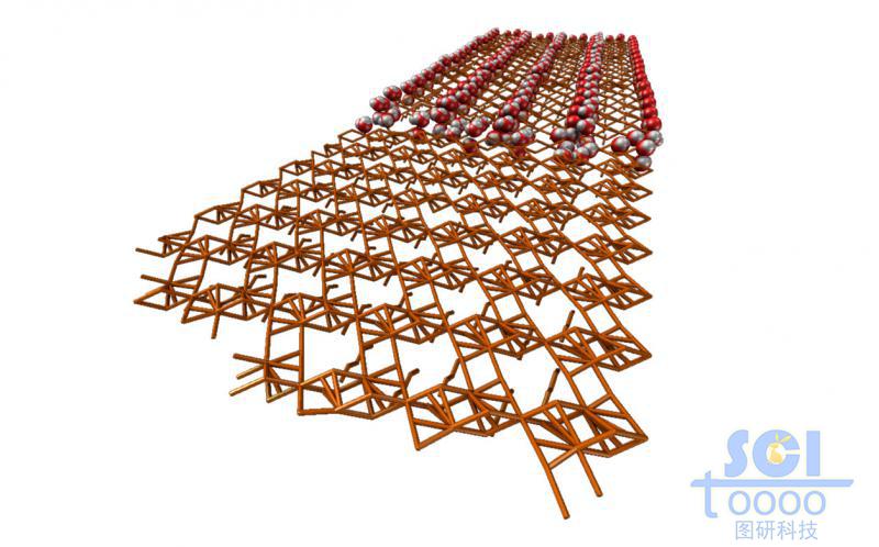 網(wǎng)狀分子結構