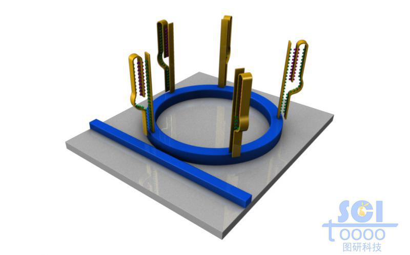 帶DNA結構的微型芯片