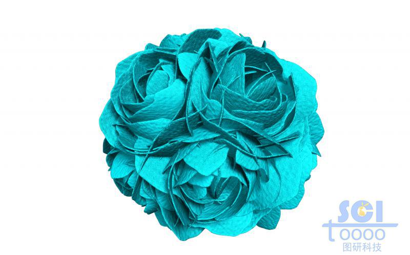 牡丹花團(tuán)簇狀納米結(jié)構(gòu)