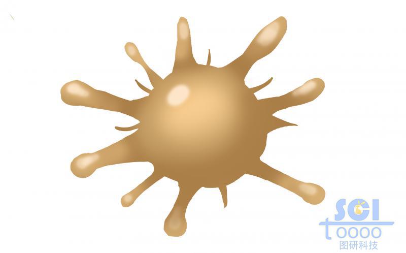 血小板結(jié)構(gòu)/活化的血小板