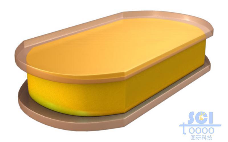 金基底板表面生成上下包裹的夾層材料