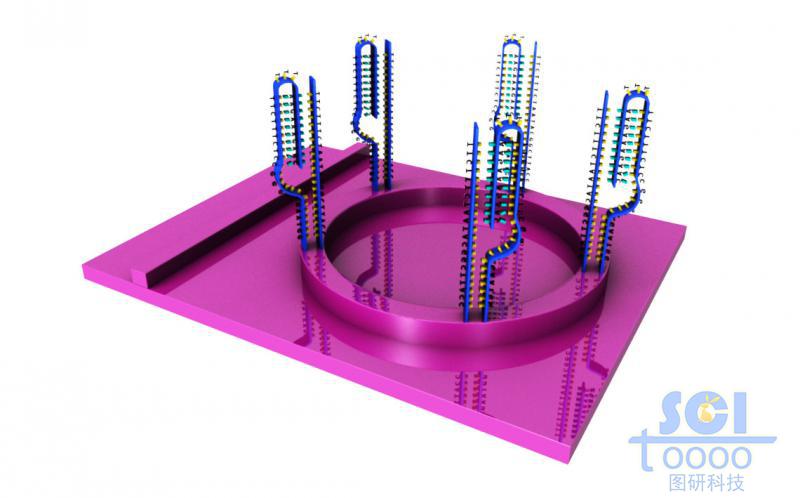 帶DNA結構的微型芯片