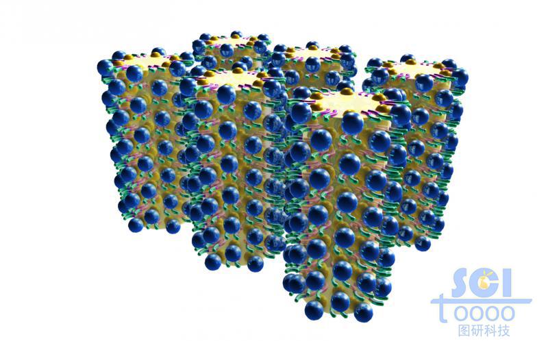 內部包裹油滴的高分子聚合物