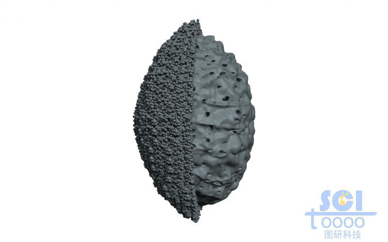 外層細(xì)密小孔內(nèi)部大孔的核殼雙層納米結(jié)構(gòu)
