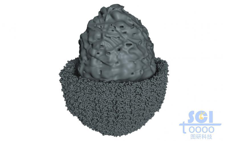 外層細(xì)密小孔內(nèi)部大孔的核殼雙層納米結(jié)構(gòu)