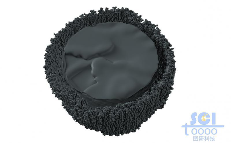 外層細(xì)密小孔內(nèi)部大孔的核殼雙層納米結(jié)構(gòu)