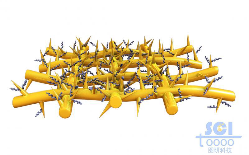 針狀凸起的荊棘狀編制網(wǎng)表面附帶高分子鏈段結(jié)構(gòu)