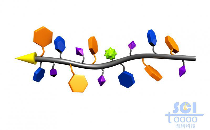 可嵌入磷脂雙分子層上的模擬葡糖氨基聚糖（GAG）聚合物