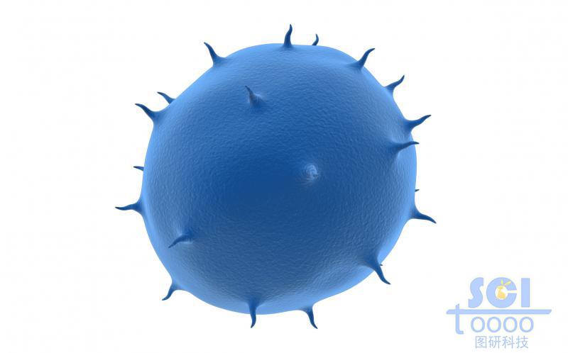 表面帶突起/觸角的病毒/細(xì)胞結(jié)構(gòu)
