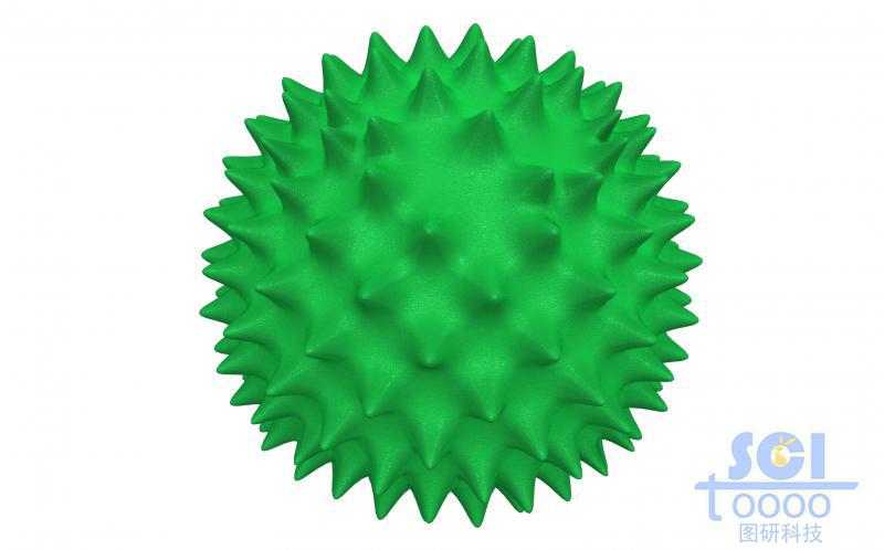 病毒結(jié)構(gòu)