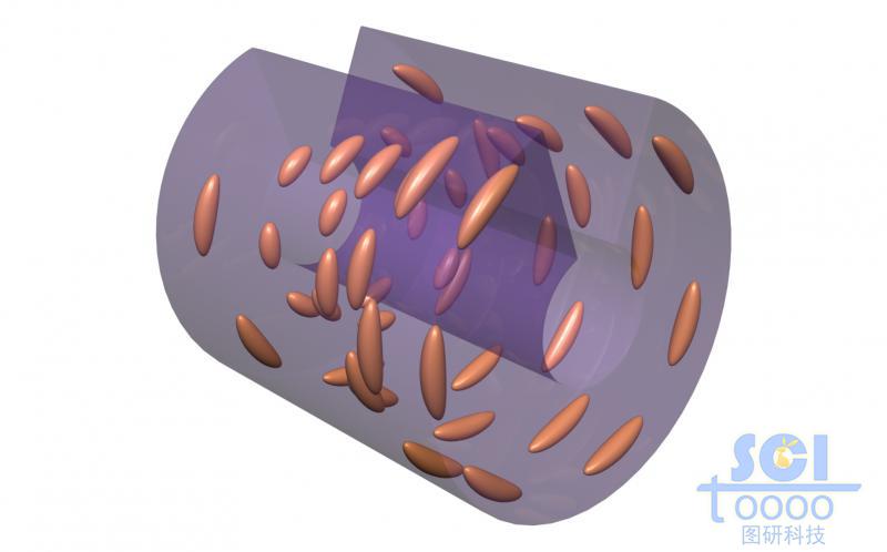 帶液晶基元的柔性膜片