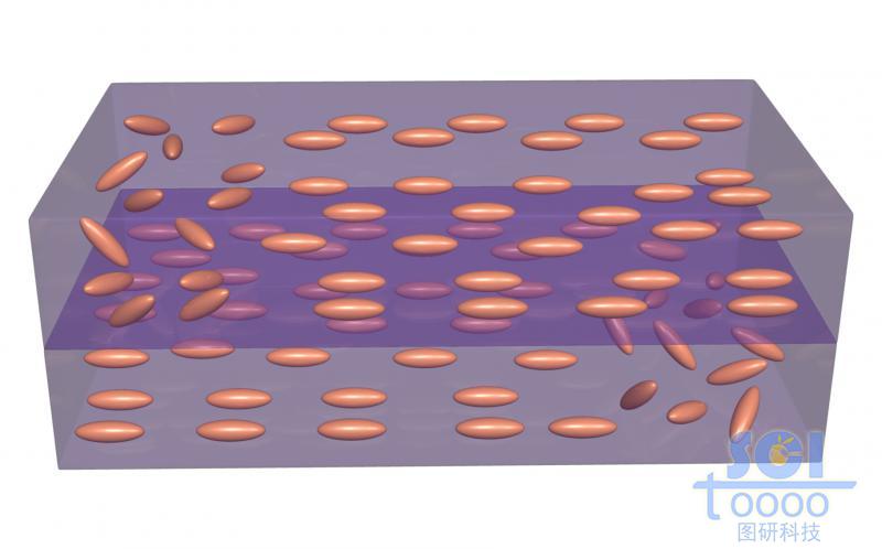 帶液晶基元的柔性膜片