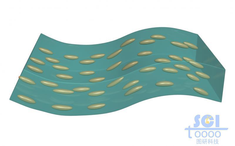 帶液晶基元的柔性膜片