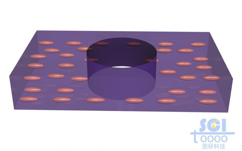 中間形成孔洞的柔性膜片