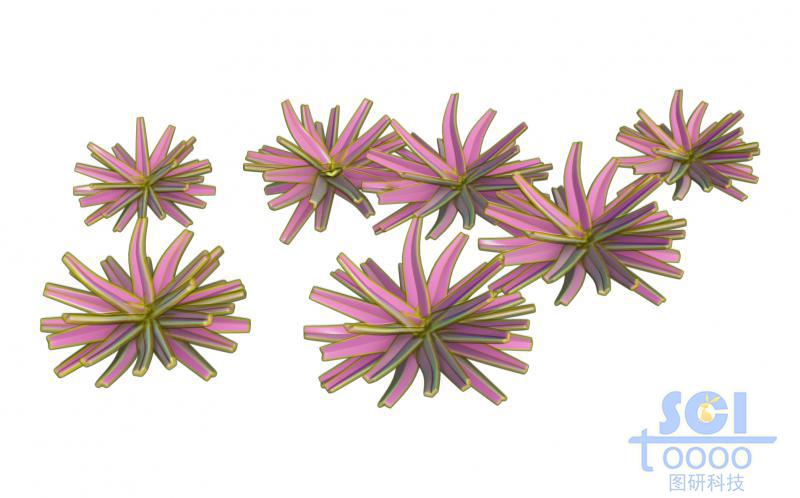 晶體團簇形成的雙層結(jié)構(gòu)的納米花