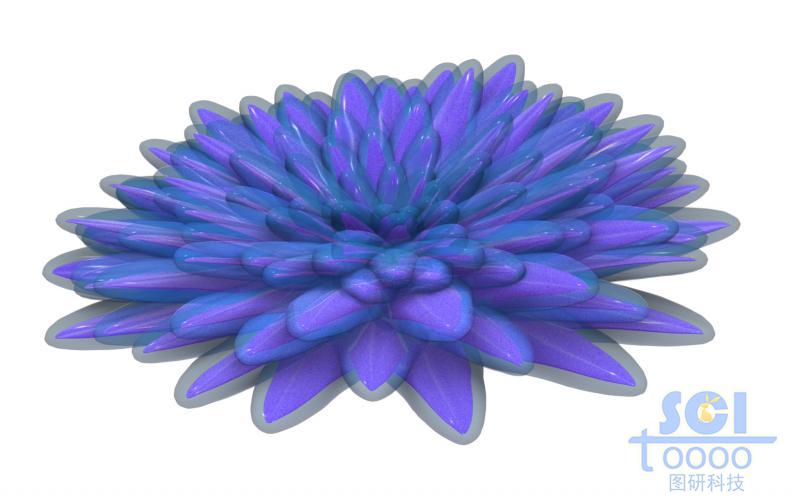 晶體團簇形成菊花狀納米花