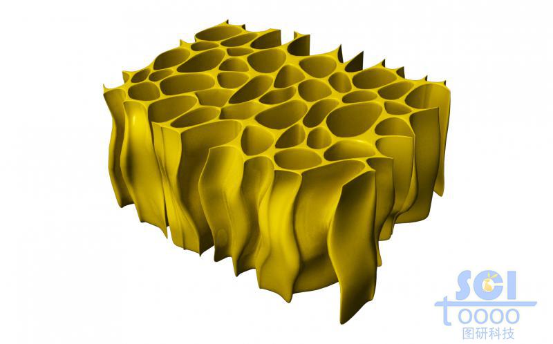 殼聚糖多孔結(jié)構(gòu)