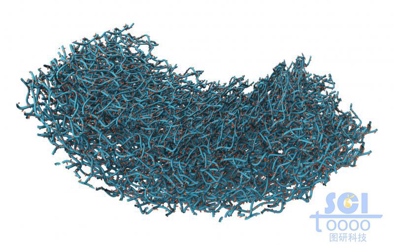 碳管交錯堆積形成的多孔膜狀結(jié)構(gòu)