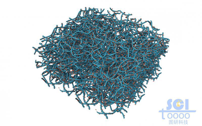 碳管交錯堆積形成的多孔膜狀結(jié)構(gòu)