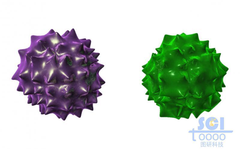 無具體特征的通用性病毒/細(xì)胞