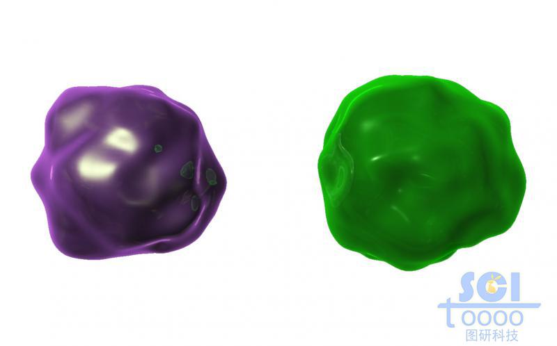 無具體特征的通用性病毒/細(xì)胞