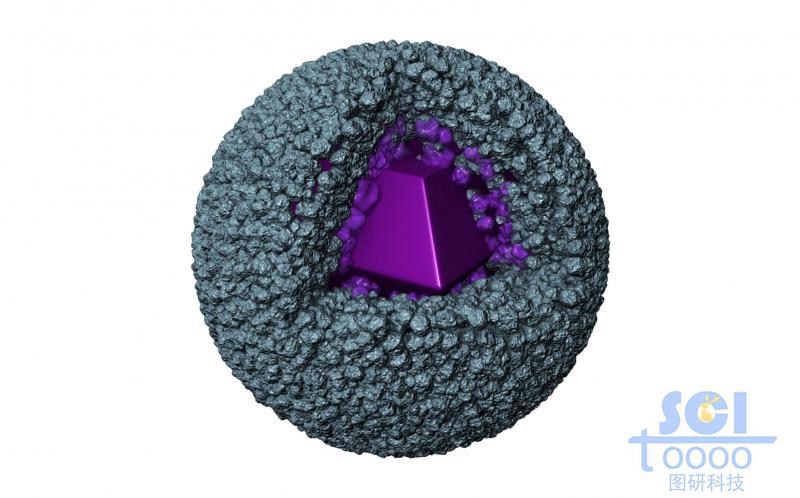 納米顆粒堆積的表面多孔道的空心球殼結(jié)構(gòu)內(nèi)部生長多面體結(jié)晶