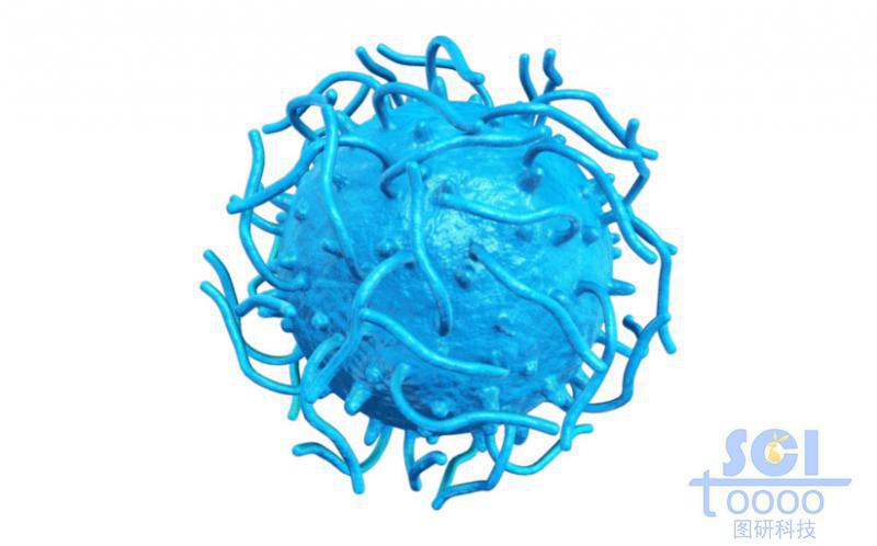 表面相互交纏的高分子鏈段形成的實(shí)心球
