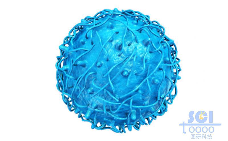 長鏈短鏈交織的實(shí)心納米球