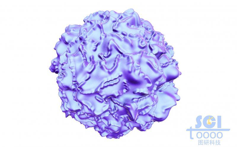 表面粗糙的癌細(xì)胞/病毒