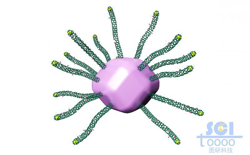 十二面體表面放射性生長碳納米管