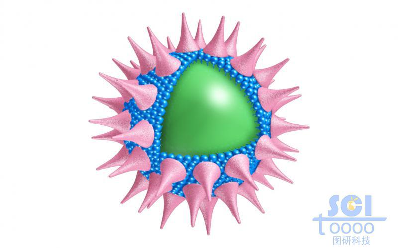 表面有錐形高分子結(jié)構(gòu)粘附的實(shí)心球