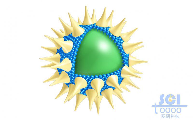 表面有錐形高分子結(jié)構(gòu)粘附的實(shí)心球