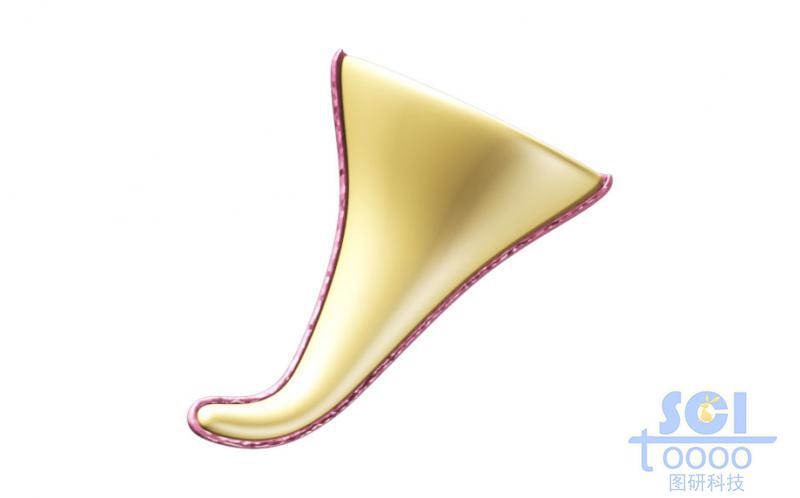 半切面的錐形頂端帶彎勾表面帶涂層的納米結(jié)構(gòu)