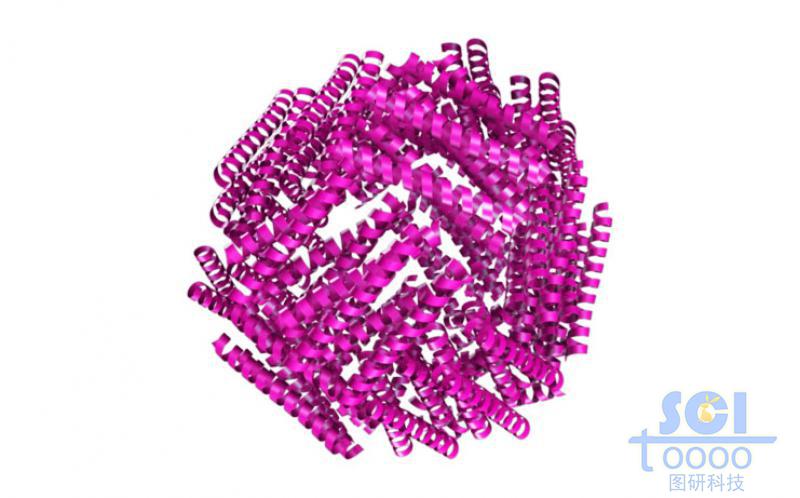 蛋白結(jié)構(gòu)聚合成球
