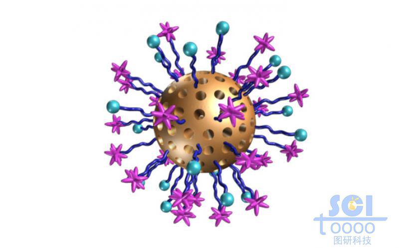 氧化硅介孔球表面帶兩種不同基團(tuán)的高分子鏈段