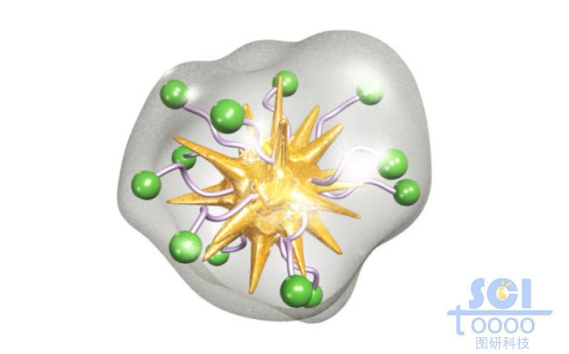 表面帶修飾基團(tuán)且被透明膜包裹的金納米星
