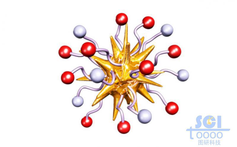 帶兩種基團(tuán)修飾的金納米星