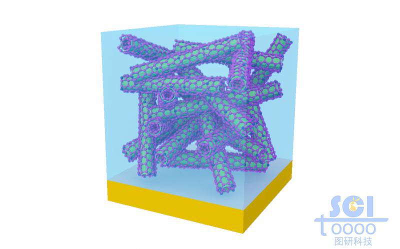 金基底板上的碳納米管堆積生長(zhǎng)形成錯(cuò)落的碳納米管骨架結(jié)構(gòu)