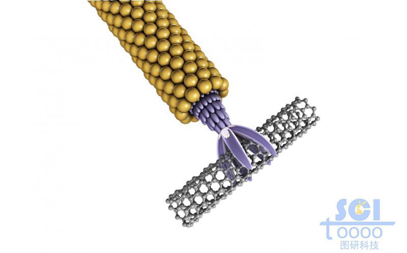 抓著碳管的病毒